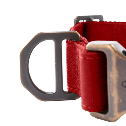 Carhartt Field Dog Collar, Fully Adjustable, Durable 600-Denier Fabric W/Reflective Wordmark for Visibility, Industry Red, Medium