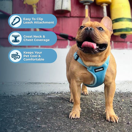 Best Pet Supplies Voyager Adjustable Dog Harness Leash Set with Reflective Stripes for Walking Heavy-Duty Full Body No Pull Vest with Leash D-Ring, Breathable All-Weather - Harness (Baby Blue), XL
