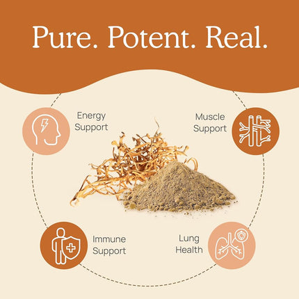 Cápsulas de Cordyceps Real Mushrooms - Suplemento de Rendimiento con Extracto de Hongo Cordyceps para Energía y Apoyo Inmunológico, Suplemento Vegano, No Transgénico, 120 Cápsulas