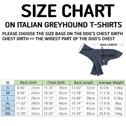 D Doggy Star Italian Greyhound Clothes Collared Stretchy T Shirts Whippet for Dogs (XL,Collared Green)