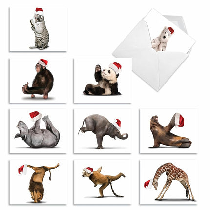 Yuletide Zoo Yoga Christmas Greeting Cards, Boxed Set of 10 Holiday Animals in Yoga Poses 4 x 5.12 inch, Assorted Yogi Animal Cards with Envelopes, Zoo Creature Christmas Notes, M6547XSG