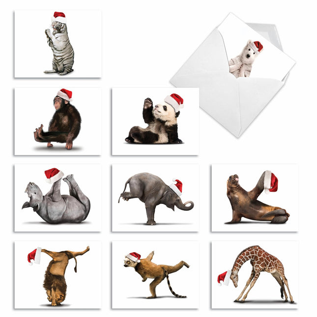 Yuletide Zoo Yoga Christmas Greeting Cards, Boxed 