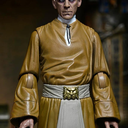 NECA Universal Monsters La Momie Figurine, Karloff l'Étrange, avec Accessoires