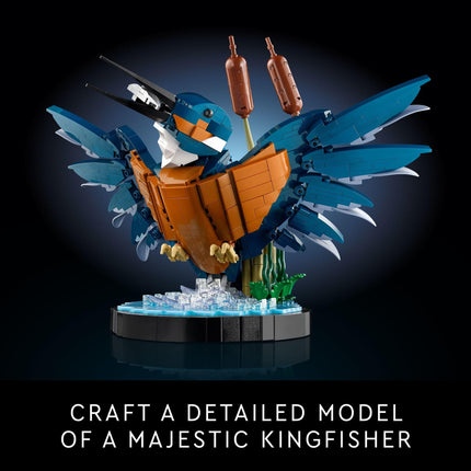 LEGO Icons Kingfisher Bird Model, Creative Set for Adults to Build and Display, Ideal for Home and Office D�cor, Bird Lovers Gift, Relaxing Project for Bird Enthusiasts, 10331