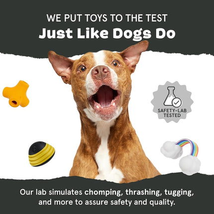 Barkbox Cheeze Brawl Super Chewer Plush Toy with Hard Core Center, Large