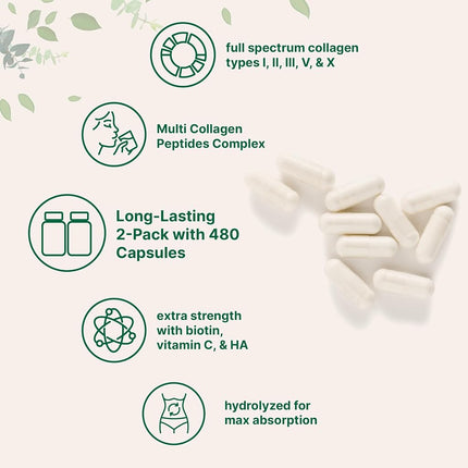 Micro Ingredients 2 Pack Multi Collagen Pills for Women & Men, 480 Capsules | Type I, II, III, V, X | Hydrolyzed Protein Peptides with Biotin, Hyaluronic Acid, & Vitamin C | Keto & Paleo Friendly