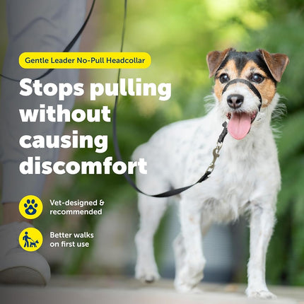 PetSafe Gentle Leader No-Pull Dog Headcollar - The Ultimate Solution to Pulling - Redirects Your Dog's Pulling for Easier Walks - Helps You Regain Control - Small, Red