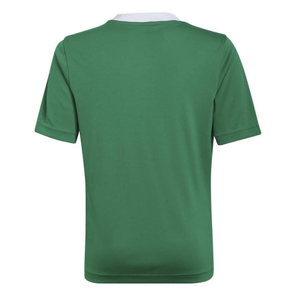 adidas Kids' Entrada 22 Jersey, Team Green/White, Large