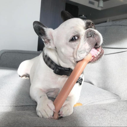 Nylabone Dura Chew Extreme Tough Dog Chew Toy Bone, Bacon Flavour, L, for Dogs Up to 23 kg,Brown