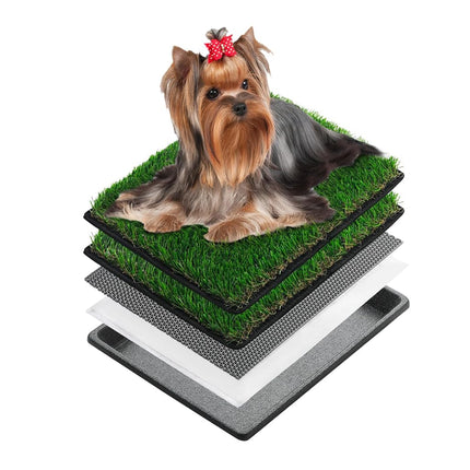 MEEXPAWS Dog Grass Pee Pads for Dogs with Tray | S