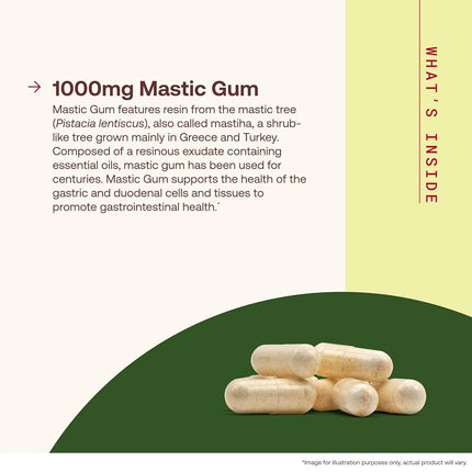 Jarrow Formulas Mastic Gum , Supports Stomach and Duodenal Health, 120 Capsules