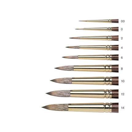 Winsor & Newton 5503012 Brush – Clear x 20 x 2 cm