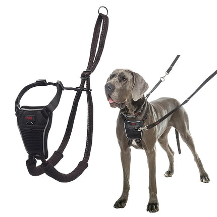Halti Dog Training Harness, Black