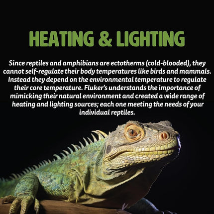 Fluker's Reptile Basking Bulb - 75 W, Black