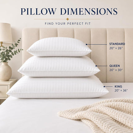 East Coast Bedding Balanced Dream Almohada de plumas de ganso 50/50, tamaño Queen, 50x75 cm, soporte medio con funda 100% algodón – Paquete individual