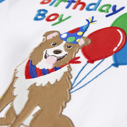 Camisetas de manga corta bordadas con gráficos de primavera y verano para niños y pequeños de Gymboree, Birthday Boy, 6