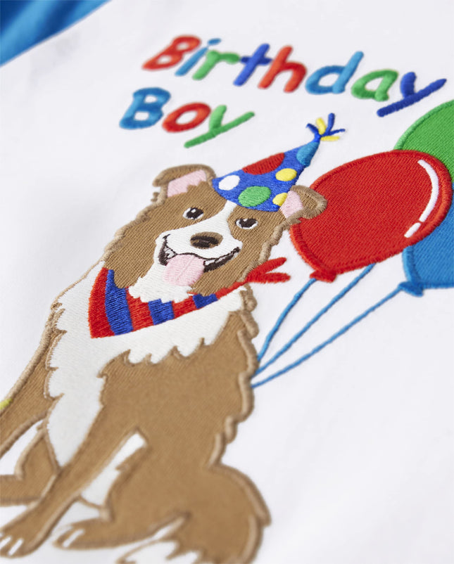Gymboree Boys' and Toddler Spring and Summer Embroidered Graphic Short Sleeve T-Shirts, Birthday Boy, 6