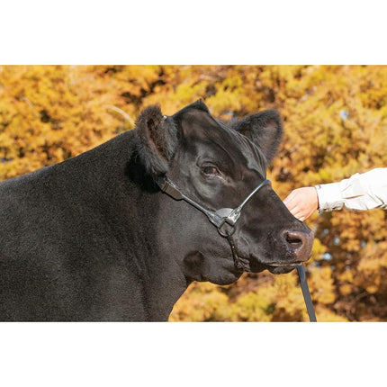 Weaver Leather Livestock Black Magic Show Halter, Medium