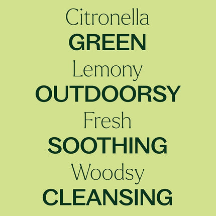 Plant Therapy Citronella Essential Oil 10 mL (1/3 oz) 100% Pure, Undiluted