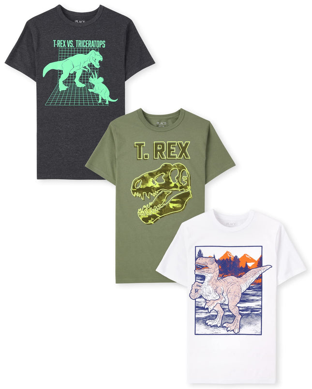 The Children's Place Boys' Short Sleeve Graphic T-