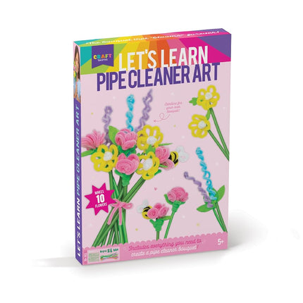 Let's Learn Pipe Cleaner Art
