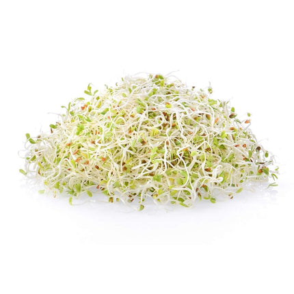 Organic Alfalfa Sprouting Seeds - 1 Lbs - Resealable Bag - Handy Pantry Brand - Growing Sprouts, Food Storage & More