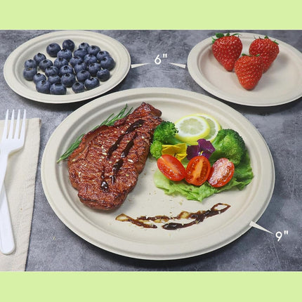 GreenWorks 100 Count 6“ Compostable Dessert Plates, Unbleached Biodegradable Bagasse and Bamboo fiber Paper Plates