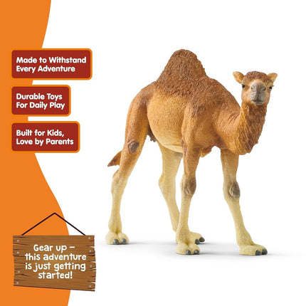 Schleich Wild Life - Dromedary - Camel Toy Figurine - Kids Ages 3+ | 14832