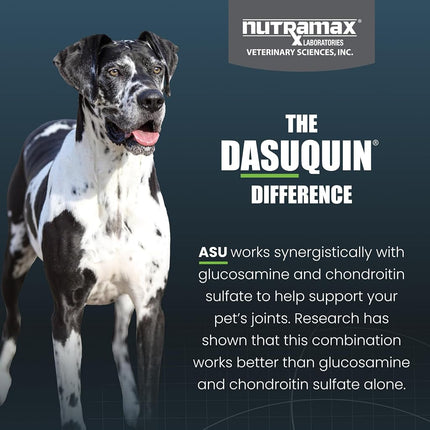 Nutramax Dasuquin with MSM Chewables, Large Dog, 84 Count
