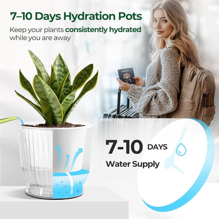 T4U Self Watering Planter, 6 Inch Orchid Pot for Plant Indoor Outdoor, Plastic Self Watering Pots with Deep Reservoir, Plant Pots for All House Plants, Flowers, African Violets, 4 Pack,Transparent