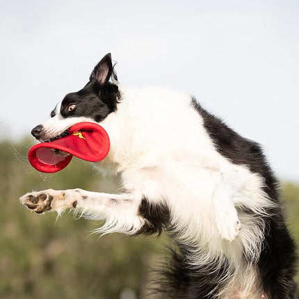 Nerf Dog Frisbee de nailon, 10 pulgadas, rojo