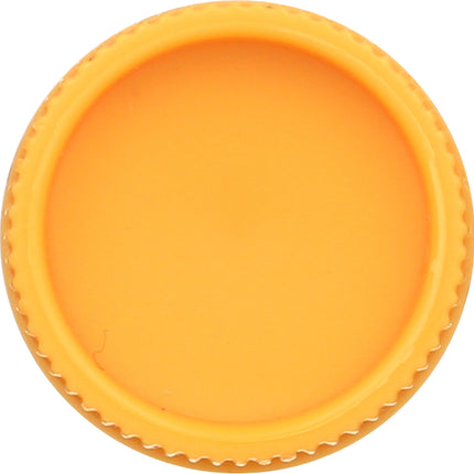 Burt's Bees Vanilla Bean Moisturizing Lip Balm - 0.15oz Lip Balm