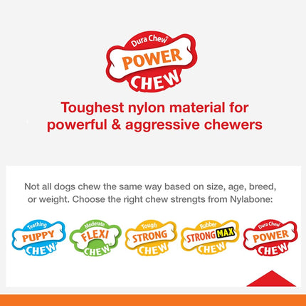 Nylabone Power Chew Shish Kabob Alternative Nylon Chew Toy, Chicken Jerky, Giant