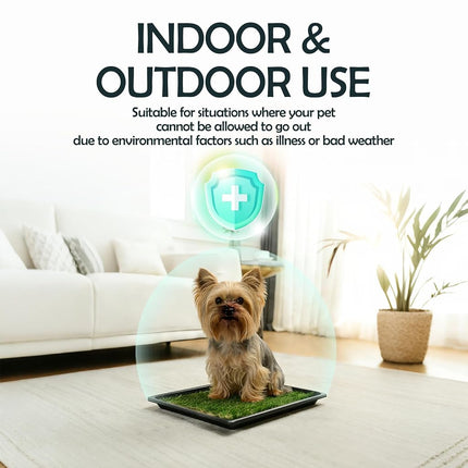 MEEXPAWS Dog Grass Pee Pads for Dogs with Tray | Small 44×34 cm | 2× Dog Artificial Grass Pads | 2 Training Pads | Indoor Dog Litter Box (Under 3kg Dog)