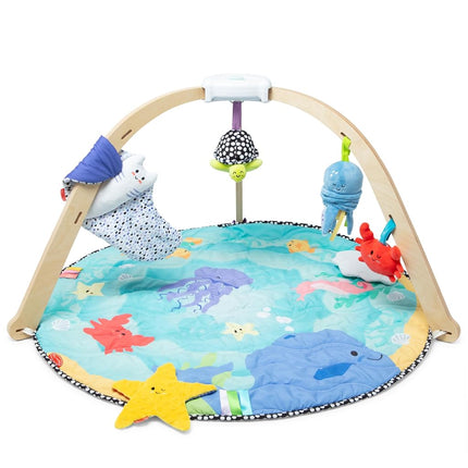 Melissa & Doug Ocean Easy-Fold Play Gym Developmental Toy for Infants, Reversible Mat, 5 Soft Toys, Birth to 9 Months