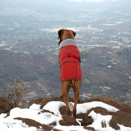 Lelepet Warm Dog Coats for Large Dogs Waterproof Dog Jacket Reflective Pet Fleece Vest Windproof Cold Weather Coats with Adjustable Buckle & Leash Hole, Red, L