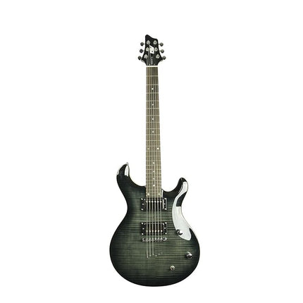 IYV 6 String IP-350 TBK PRS Solid-Body Electric Gu