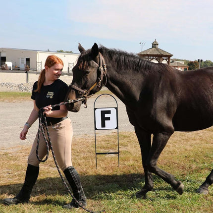 HDYEGY 8Pcs Dressage Letters Arena Markers,Metal Dressage Arena Letters Dressage Equipment for Equestrian Athletes and Events Includes Letters A,B,C,E,F,H,K,M