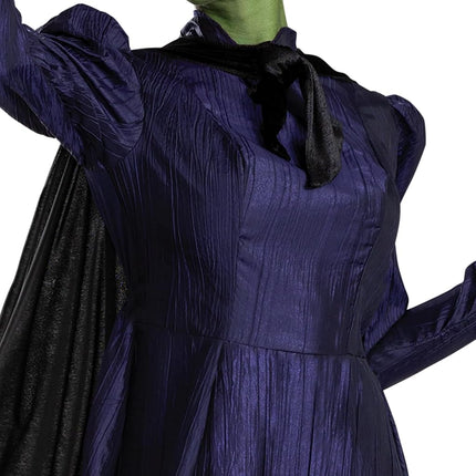 DISGUISE Adult Wicked Deluxe Elphaba Fancy Dress Costume | Wicked Fancy Dress Costumes Medium