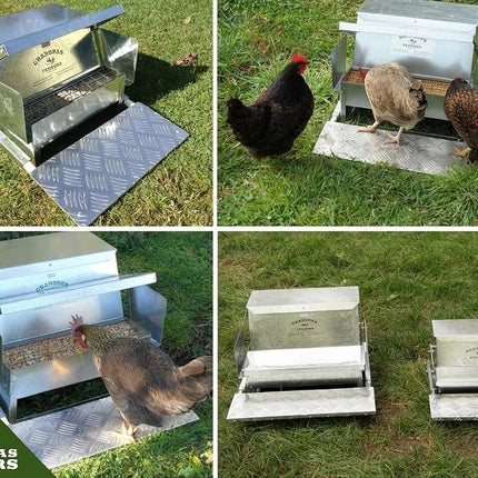 Grandpas Feeders Automatic Chicken Feeder - 20 lbs No Waste Poultry Feeder, Rat Proof & Rodent Proof Treadle Chicken Feeder, Galvanized Steel with Lid, Feeds 6 Chickens up to 10 Days
