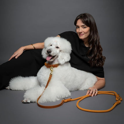NOAH & PAW Hands Free Dog Leash, Oil-Waxed Leather & Heavy-Duty Paracord, 8 ft, Long Dog Leash with 6 Ways to Use (Ideal for Cats, Small, Medium & Large Dogs) Matching Collar Available. (Camel)