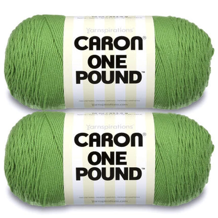 Caron One Pound Grass Green Yarn - 2 Pack of 454g/
