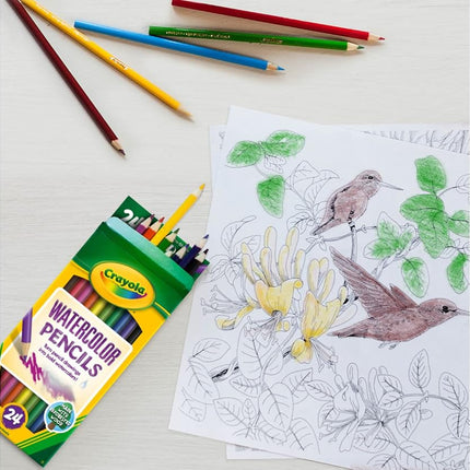 Crayola 24ct Watercolor Colored Pencils