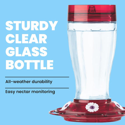 More Birds Bird Health+ Big Gulp Hummingbird Feeder, Glass Hummingbird Feeders for Outdoors, 5 Feeding Stations, 40 Ounces