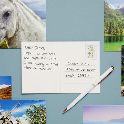 Best Paper Greetings 40 Pack Bulk Animal and Travel Postcards From Around the World for Mailing, Assorted Nature Thank You Notes (4 x 6 In)