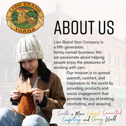 Lion Brand Hometown Yarn 3-Pack, Bulky Yarn for Knitting and Crocheting, Providence Pink