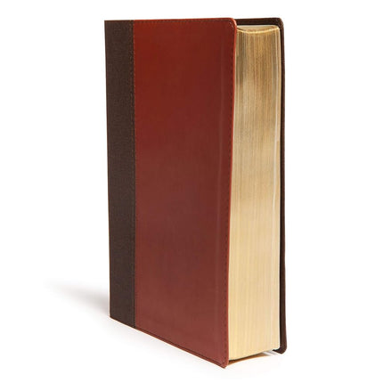 CSB Life Essentials Study Bible, Brown Leathertouch [Imitation Leather] Getz, Gene A; Csb Bibles by Holman and Stabnow, David K