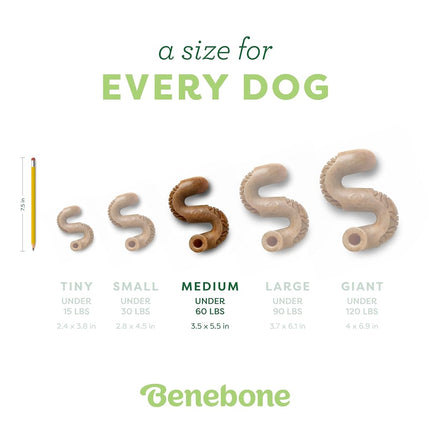Benebone Tripe Bone Durable Dog Chew Toy for Aggressive Chewers, Real Tripe, Made in USA (Medium)