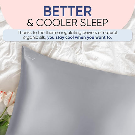 Blissy Silk Pillowcase - 100% Pure Mulberry Silk - 22 Momme 6A High-Grade Fibers - Satin Pillowcase for Hair & Skin - Regular, Queen & King Size Silk Pillow Case with Hidden Zipper - Moisture Wicking