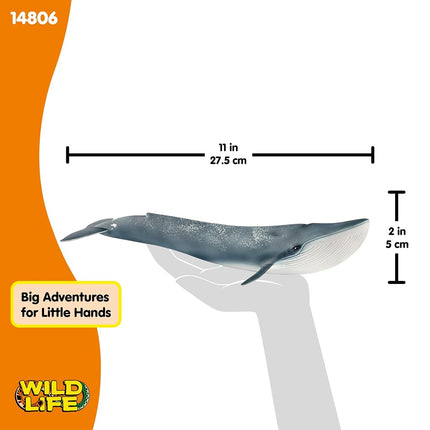 Schleich Wild Life 14806 Collectible Blue Whale for Adults & Kids 3+